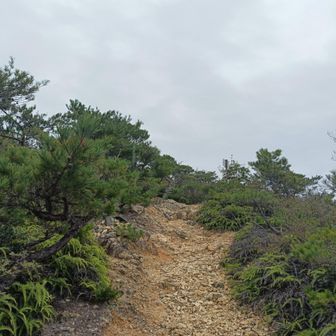 雨、なんとかもってる