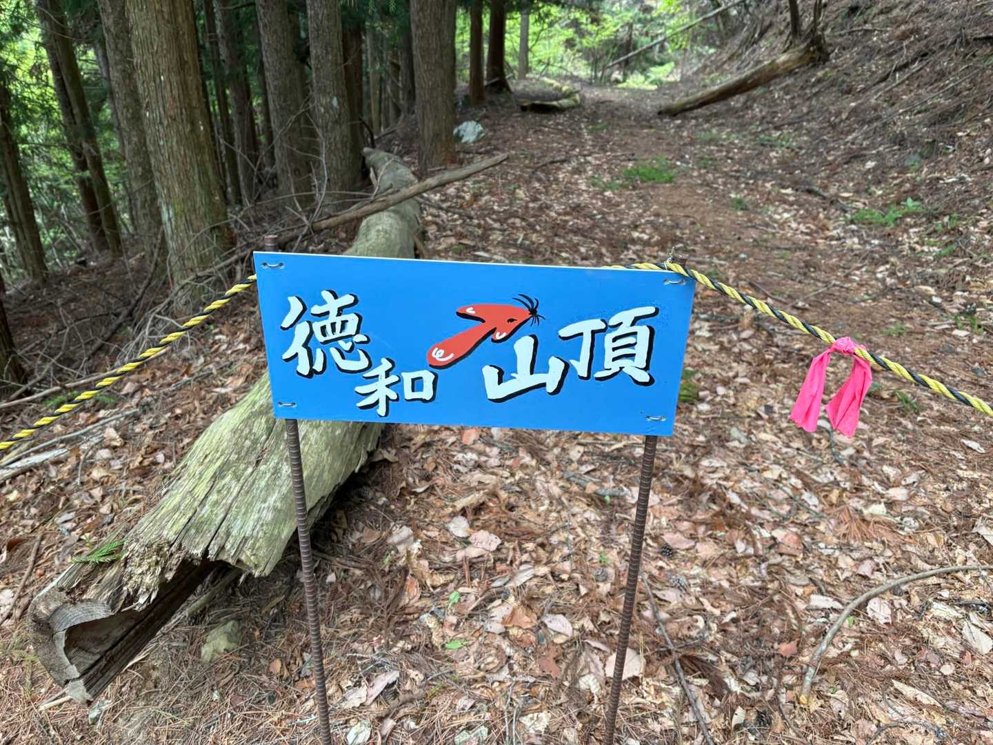 乾徳山登山口バス停-乾徳山登山口-乾徳山-道満山-徳和峠 周回コースの写真