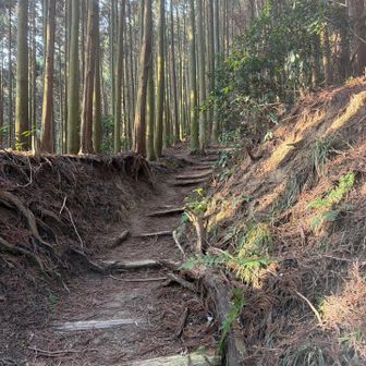 ニワトリの鳴き声が聞こえる…
さ、登るべ。