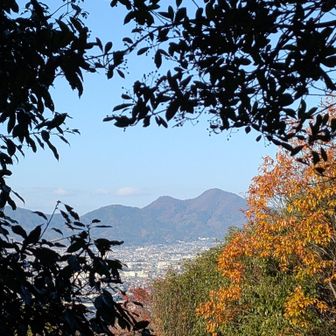 はーい(^_^)/
大好き💁二上山です✨