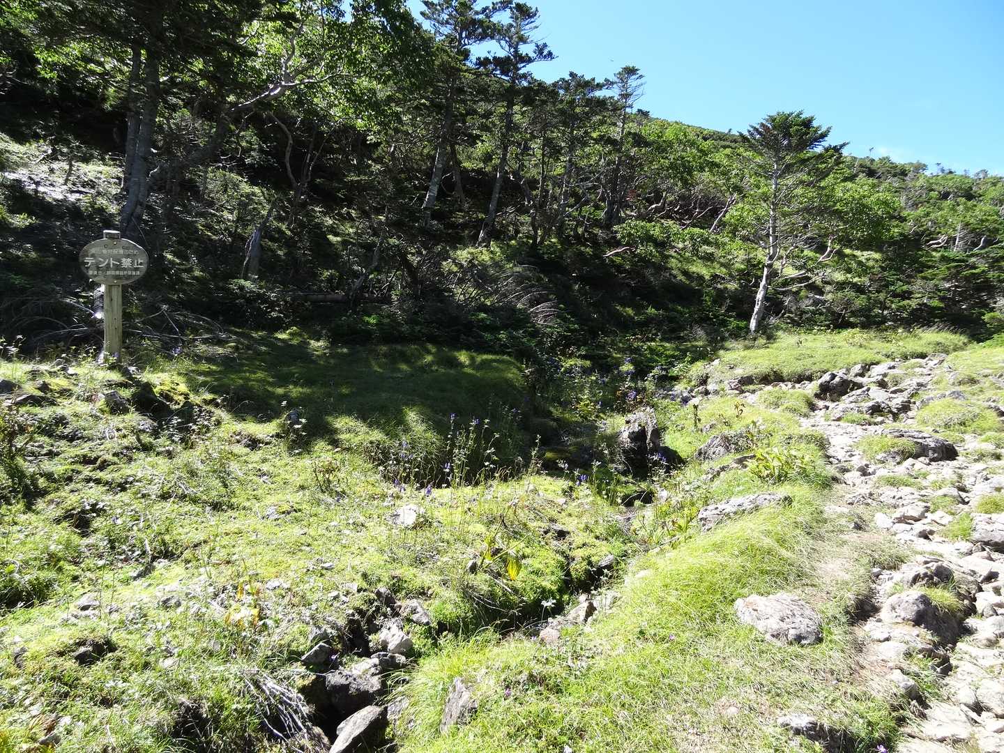 芝沢ゲート〜光岳 往復コースの写真