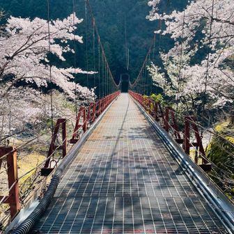 三浦峠に行くための吊り橋