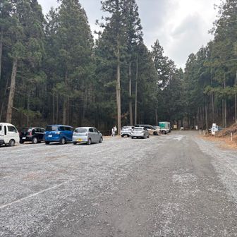 焼森山ミツマタ群生地🅿️
今日は平日。曇りなのでこんな感じ。