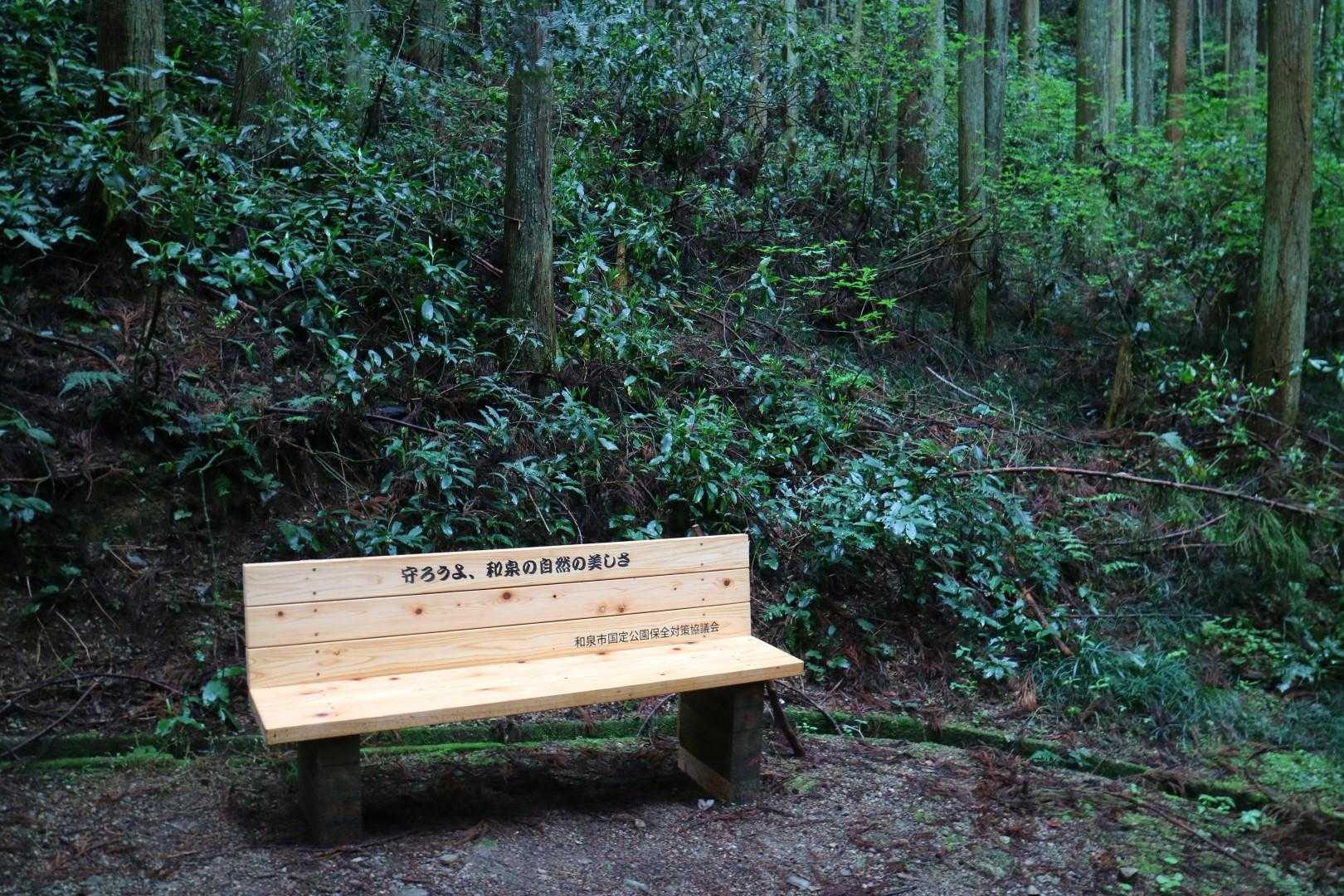 施福寺-槇尾山バス停 周回コースの写真