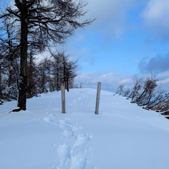 通常のコースで行くのは断念し、ちょっと遠回りして山頂へ向かうと、村岡側からの登山者が残したスノーシュー跡を発見。