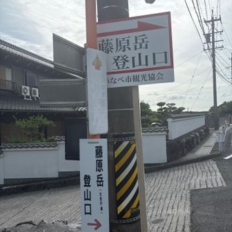 やっと