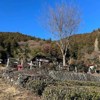 こちらで一息つく