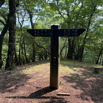 湯船山到着