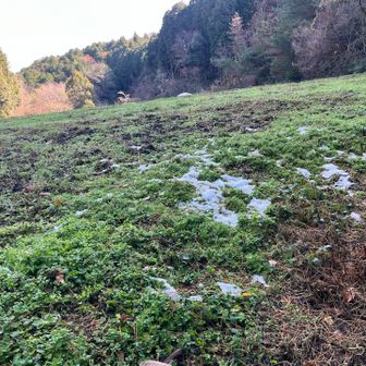 そして　廿原へ


岐阜県には　まだ雪が残ってたぁ👀