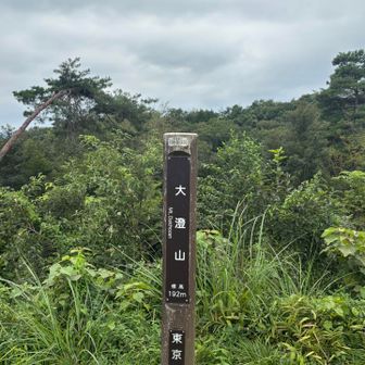 大澄山（だいちょうさん）⛰️
おおすみやまだと思ってました😅