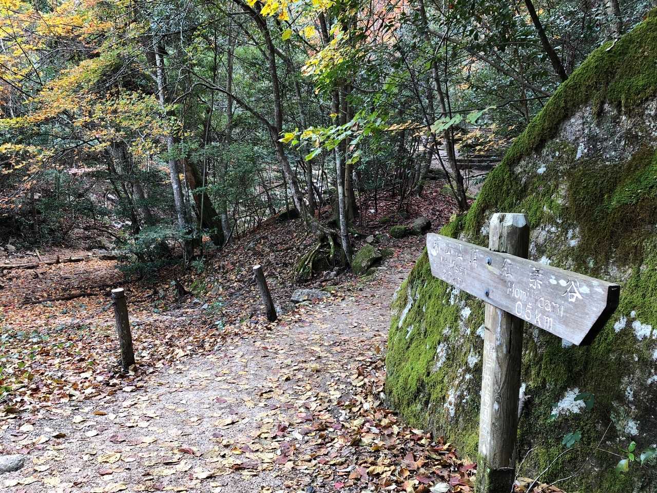 弥山登山道入口-弥山 往復コースの写真