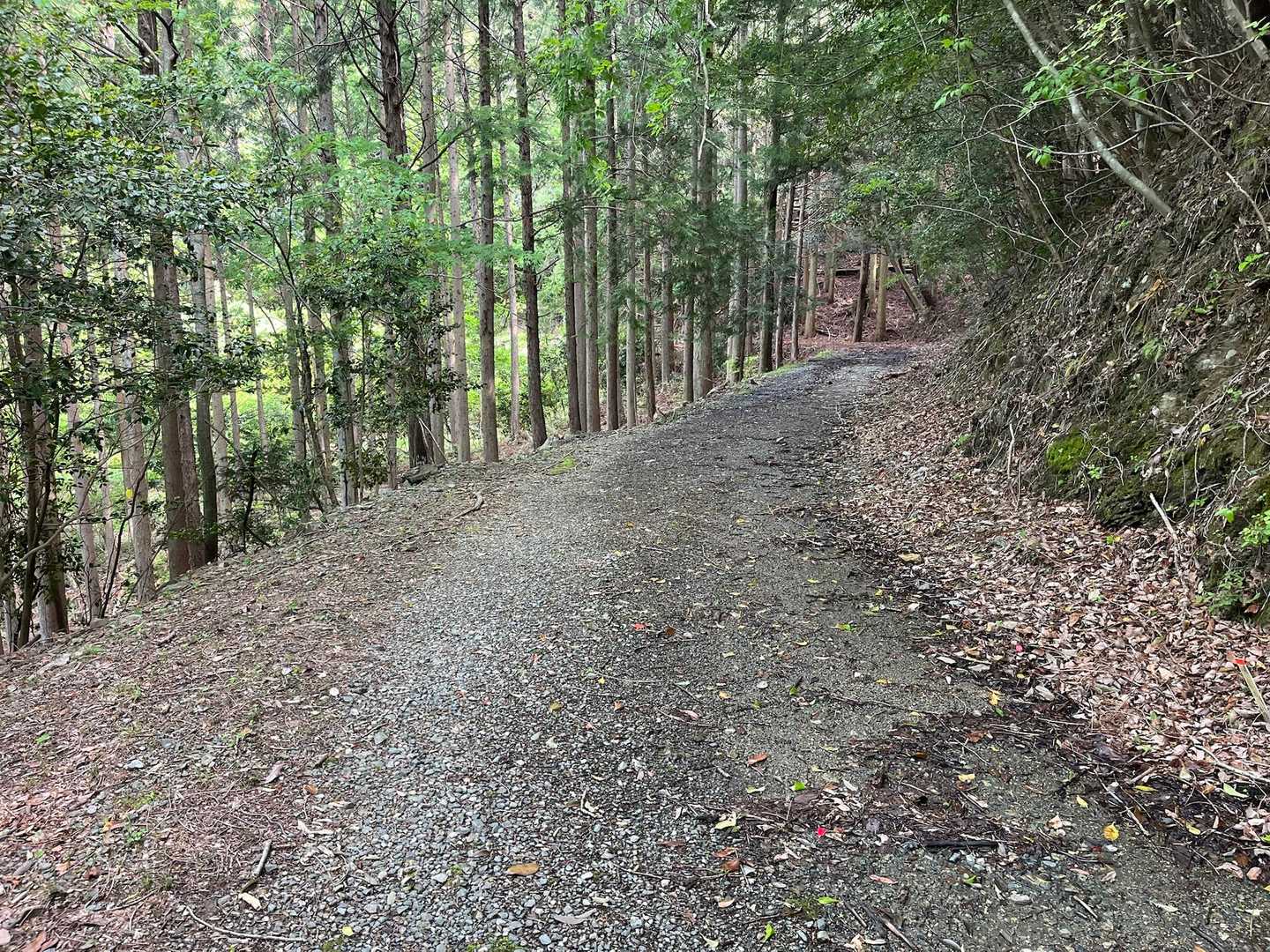 後半林道多め🚶‍♀️