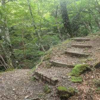 ここが分岐点。
合流しましたね。
後は駐車場へ