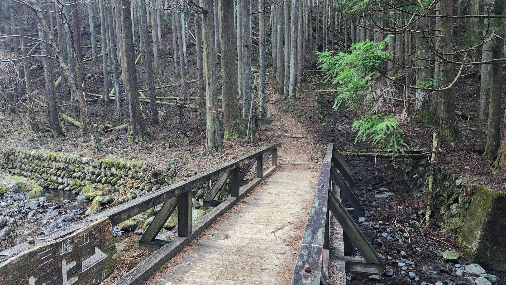 いつもの登山口から。