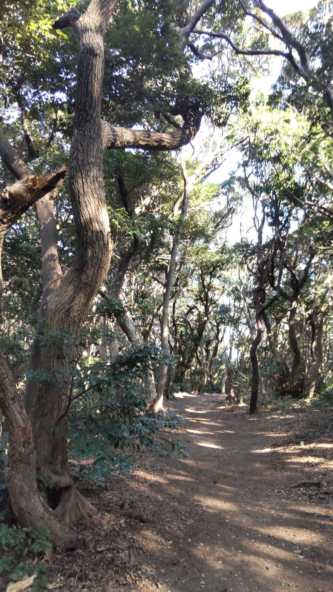 次は、城ヶ山へ