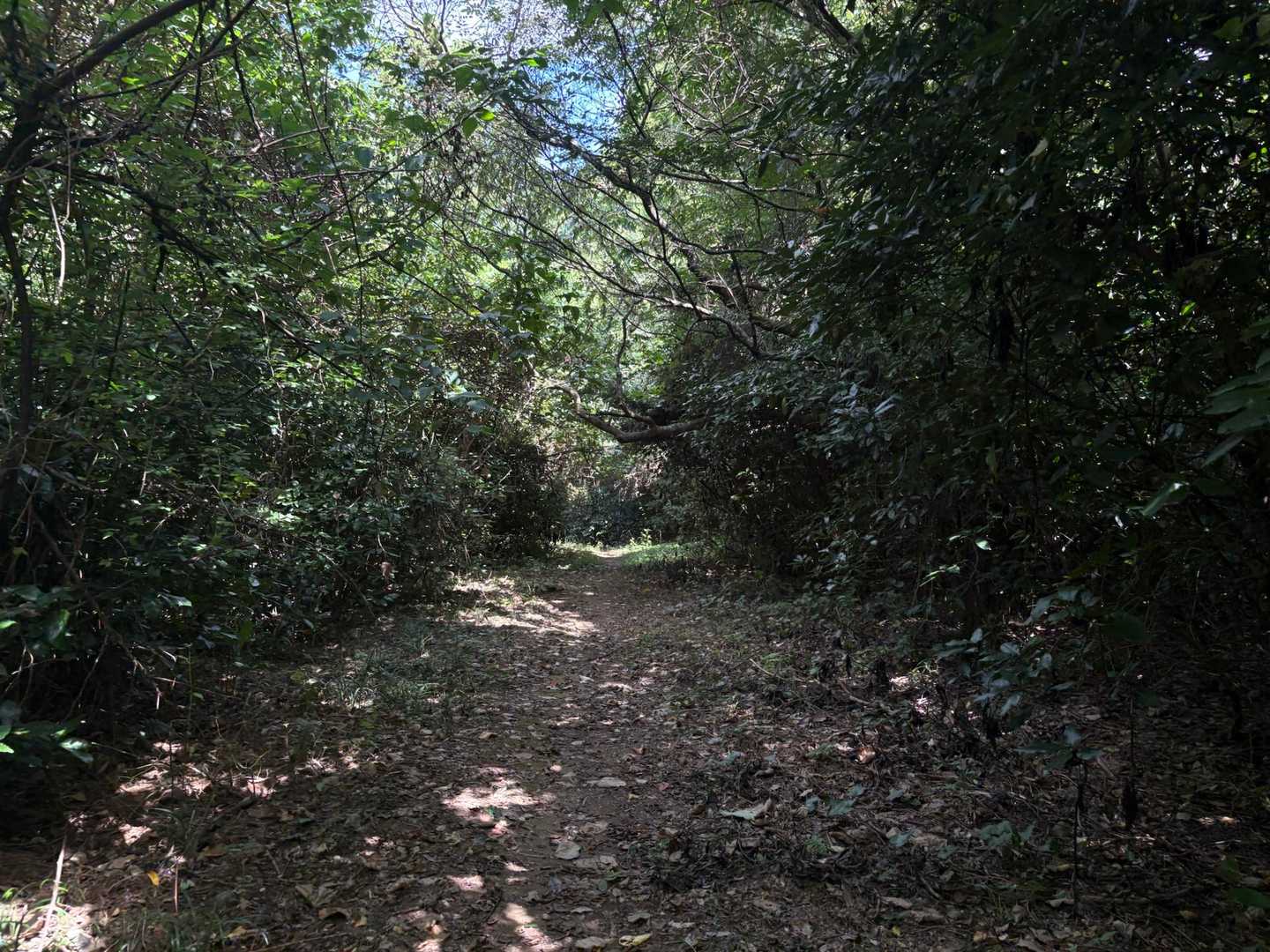緩やかなくだり最高に気持ちいい🏃