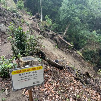 あれ？もう通り過ぎた😅でも、なるほど、少し土砂が下に流れてる。これから崩れる可能性はありますね。