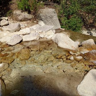 最後の最後に渡渉があって、疲れた体に水の音が心地よかった