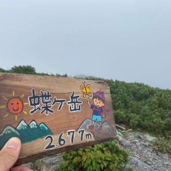 蝶ヶ岳登頂❗️
雨が降りそうなのでさっさと下山するか😅
