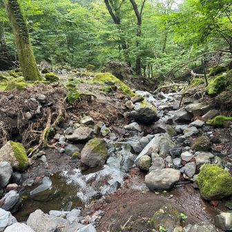 朝方、歩いたのはここ…👇