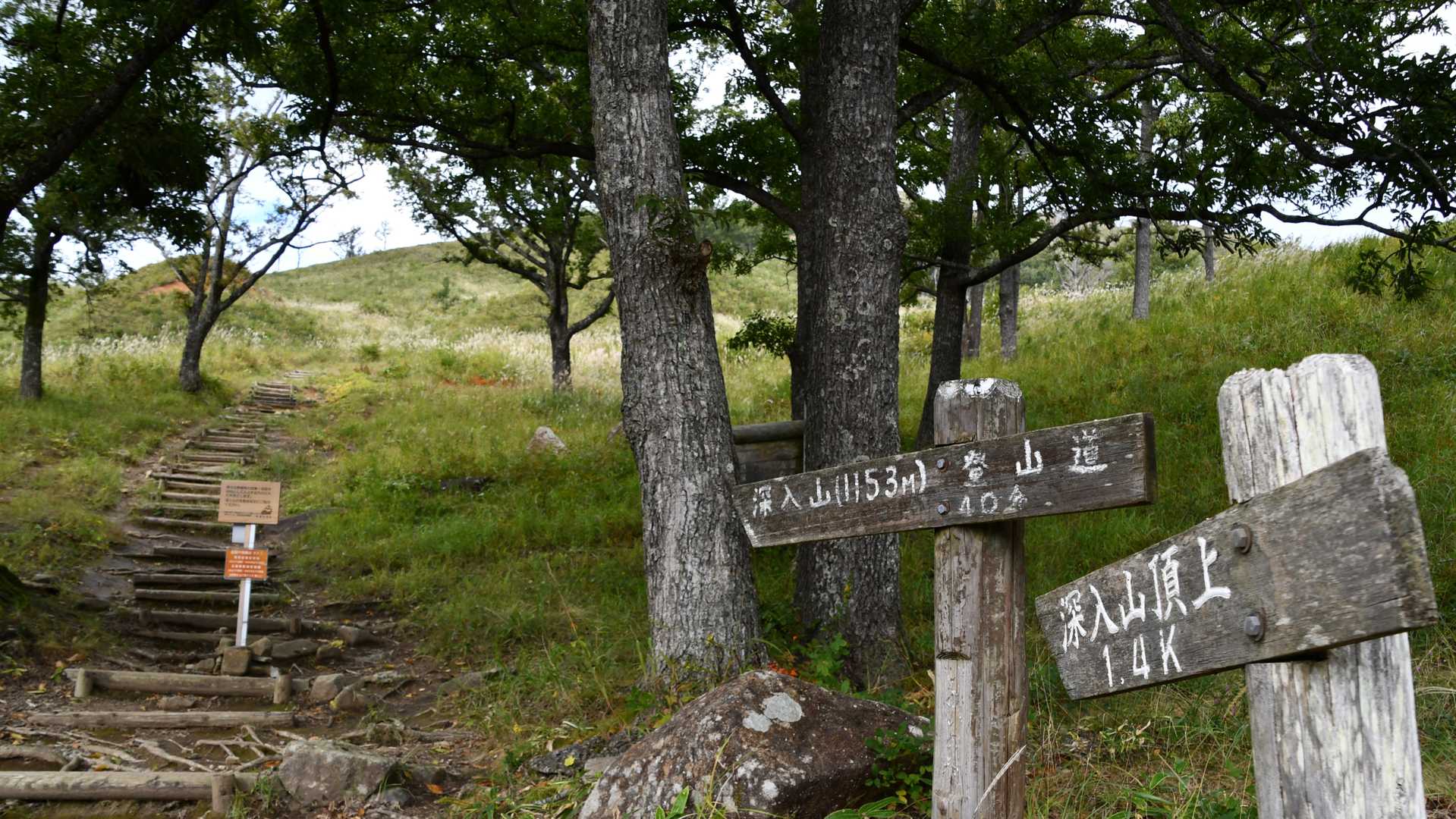 東登山口
あっという間の1.4km