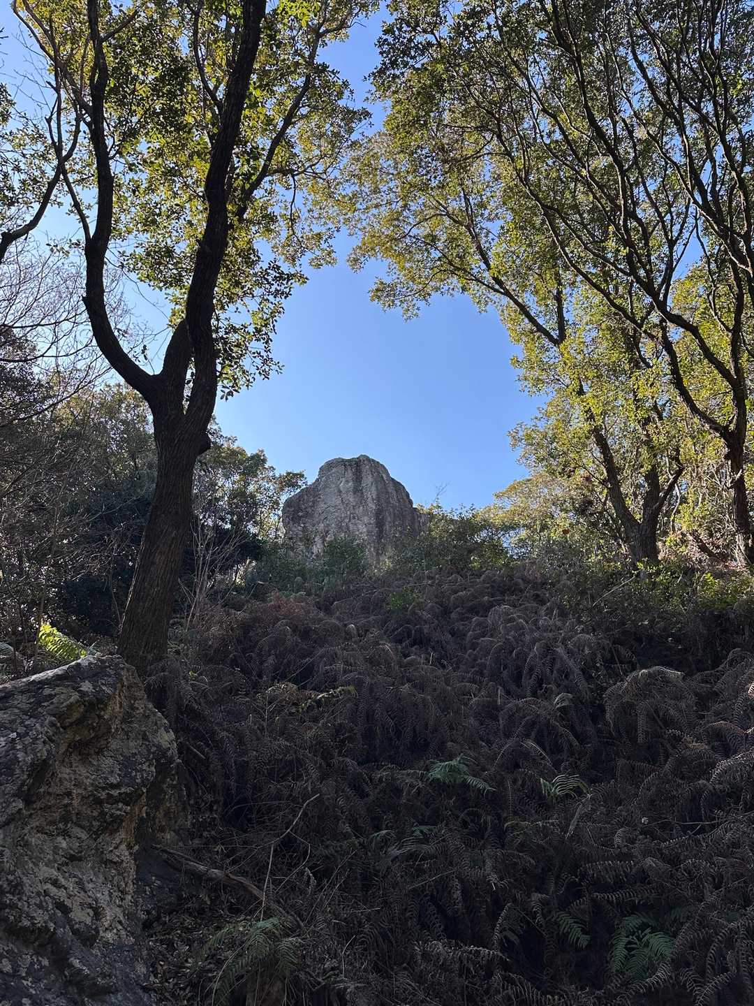 ますきち岩🪨