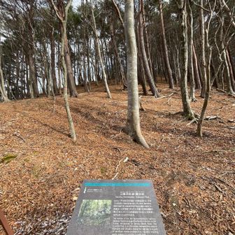 鍬台峠
さっきの一里塚の石柱からすぐ
大船渡市と釜石市の境界です
眺望は全く無い
