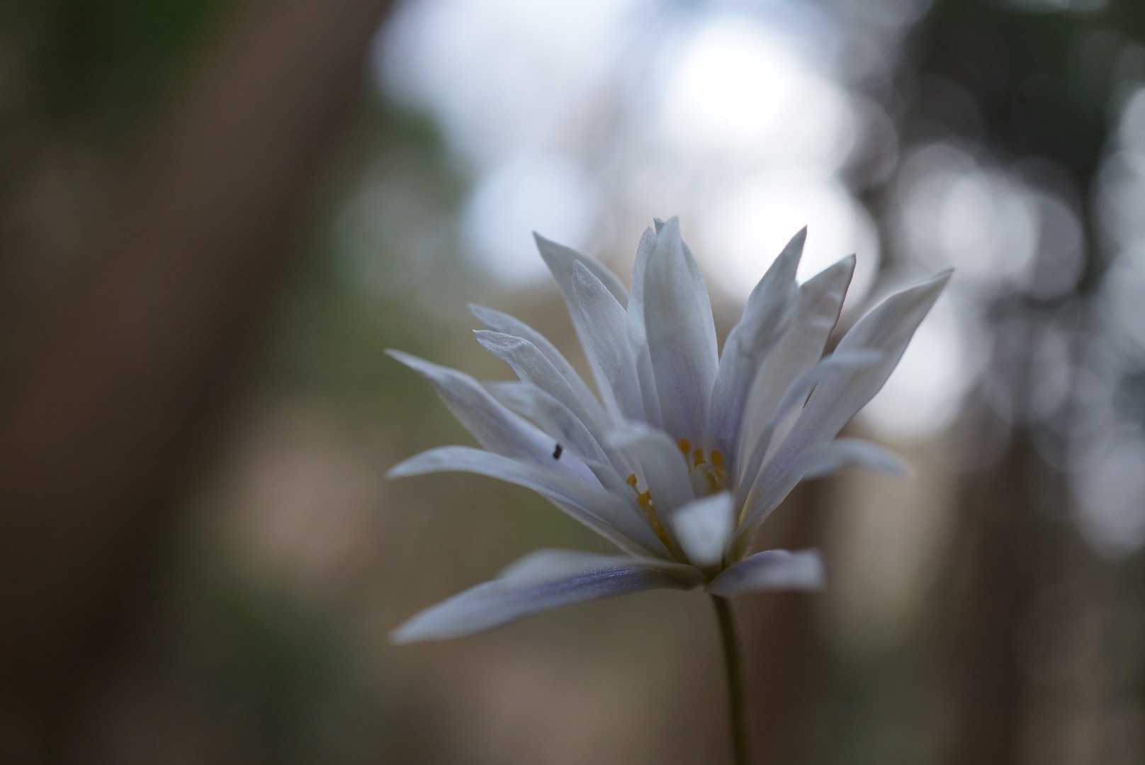 🤗