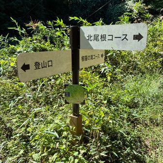 無事に下山