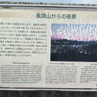 夜景の穴場とのこと