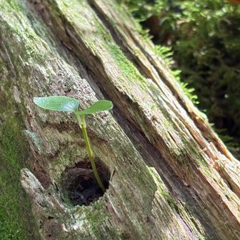 やーまだーーー🌱

昭和の人にはわかるはず😆笑