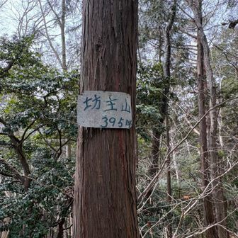 坊主山。誰もおらん。