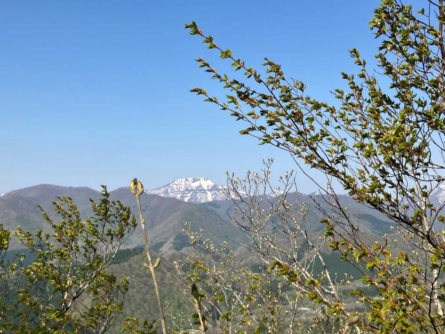 鎌倉山登山口-鎌倉山 往復コースの写真