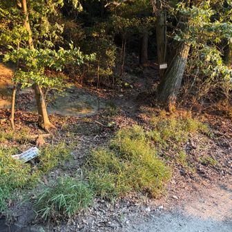 入山した場所まで戻ってきました
