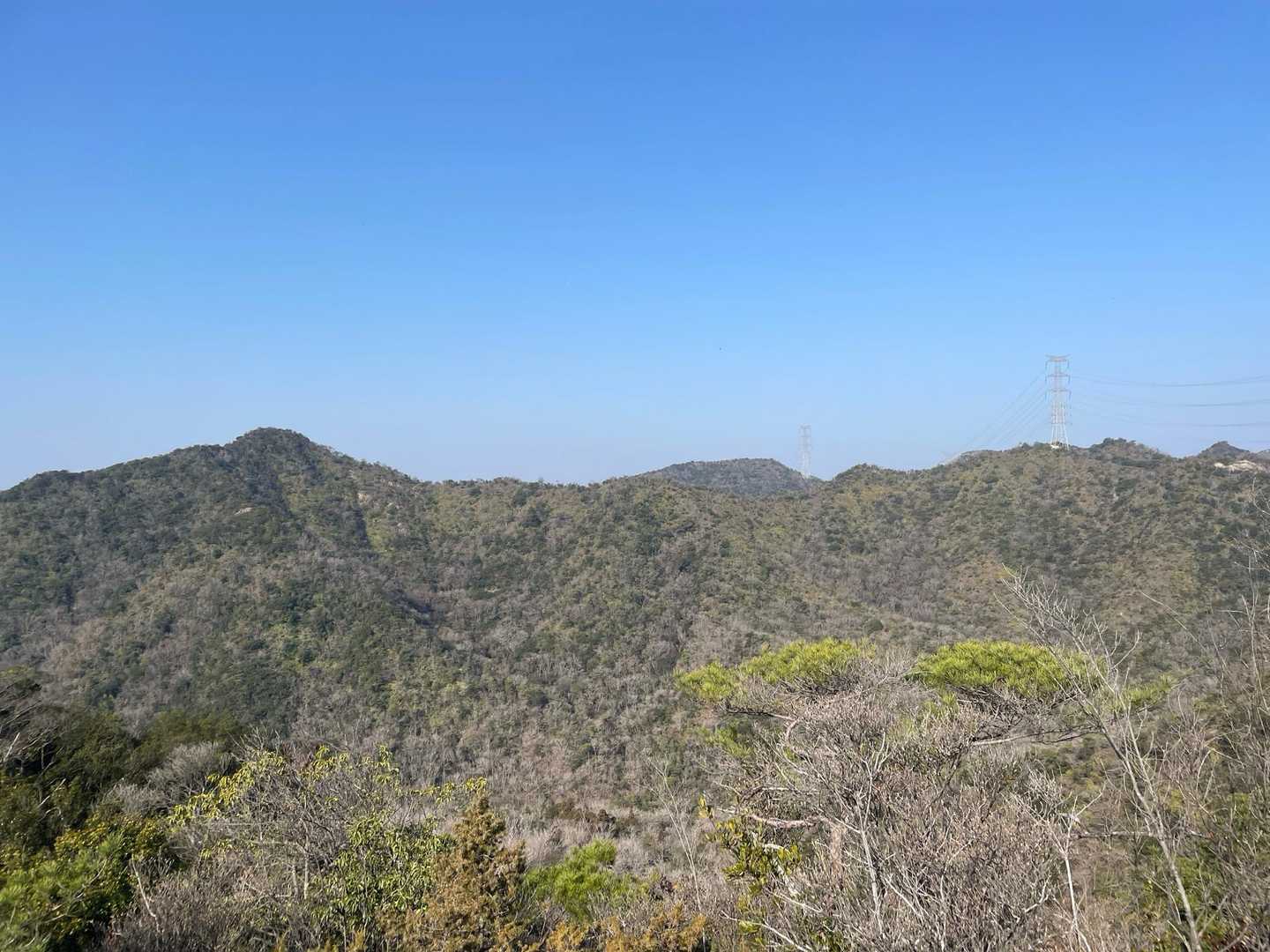 山口登山口-大坂山取付き-P186-P320-大坂山-背山 周回コースの写真