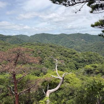 六甲ガーデンテラス方面