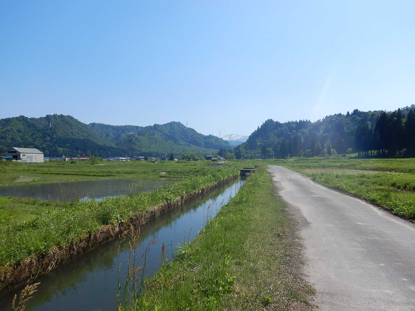 田んぼの奥に山が見えるのどかな田舎道