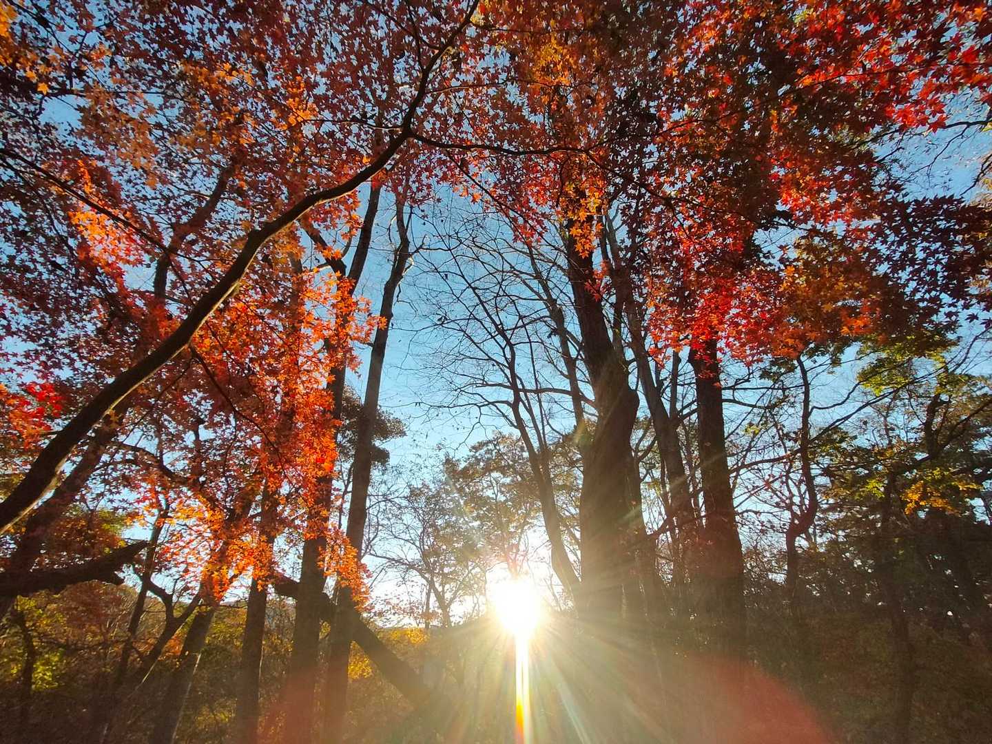 源次郎岳入口-源次郎岳 往復コースの写真