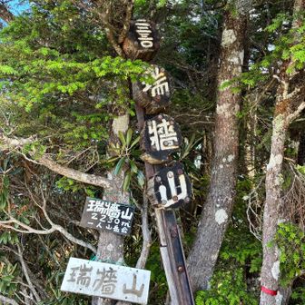 金峰山を守る意味合いがあるらしい。諸説あり。