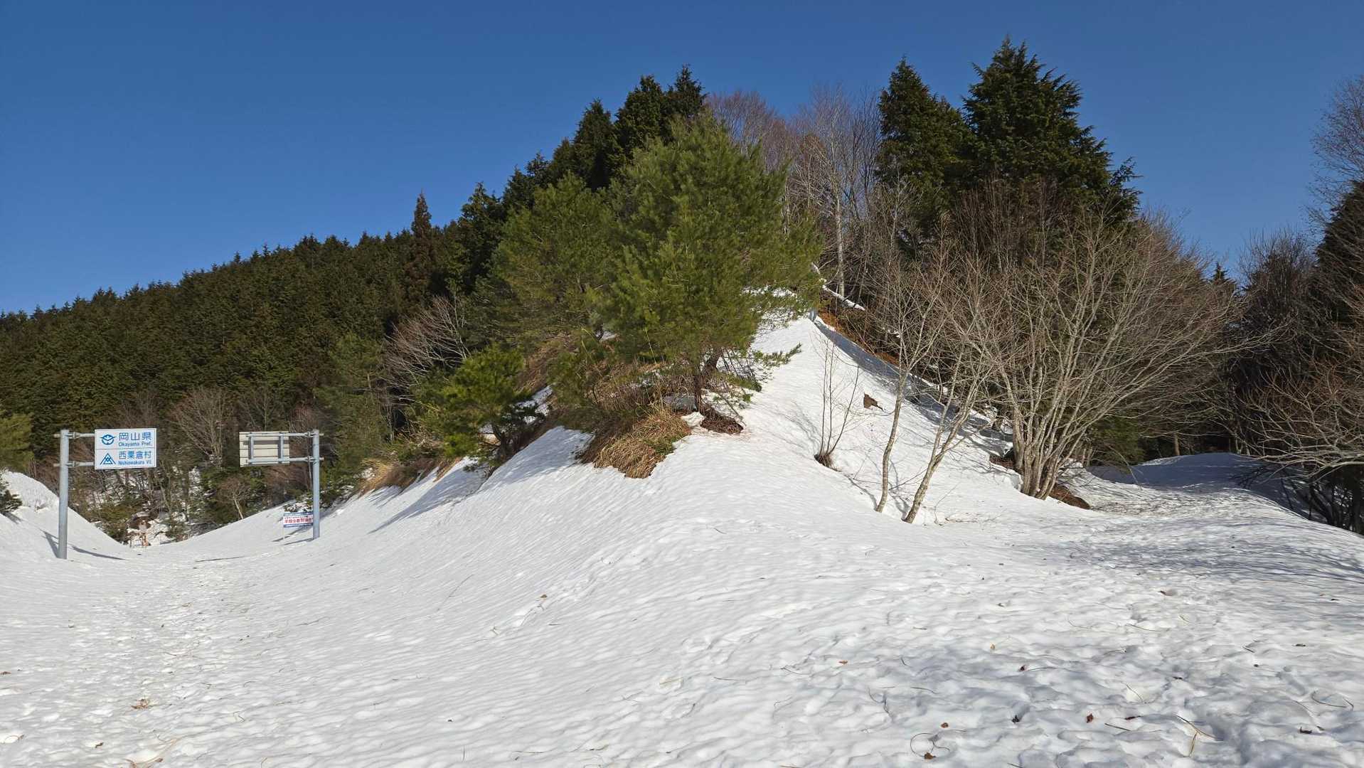 雪が...ガリガリ君です(笑)
でもお天気サイコーなので気分も👍😆