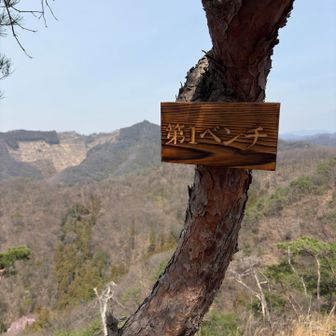 栃木はこの表記好きなのかぁ？