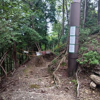 月輪寺への道は獣害や悪路で事故多発のため、基本通行止めで月輪寺に予約がいるらしい。