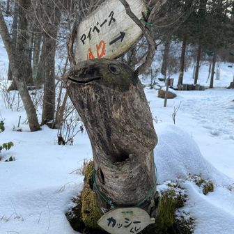 カッシーくんまたね