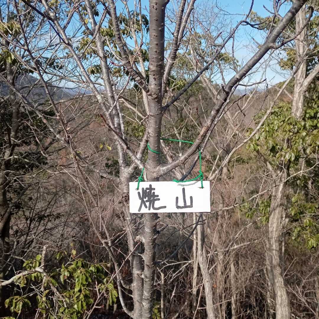到着〜