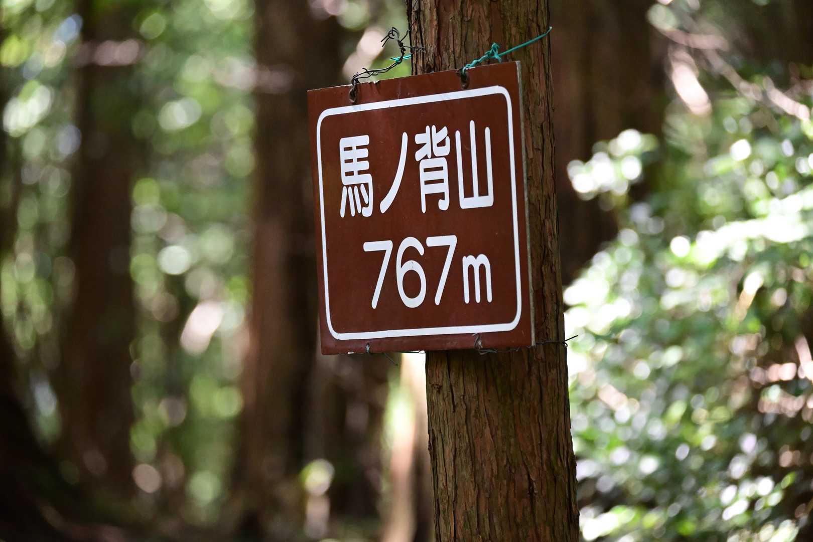 ここが馬ノ背山767mでした。眺望はありません。