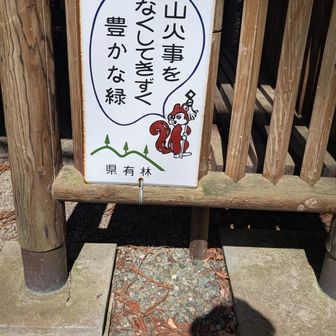 時間もないのでほんの少し歩いて東屋があったのでここでコーヒータイムにします🙋‍♂️