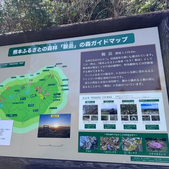 大変な登りを来てようやくスタートへ