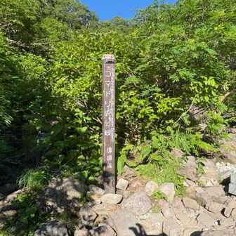 コマドリ沢到着‼️
既に日差しが厳しくて暑い🥵