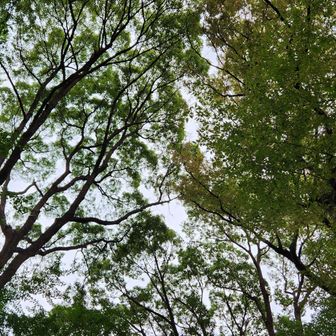 摺鉢山の上空。