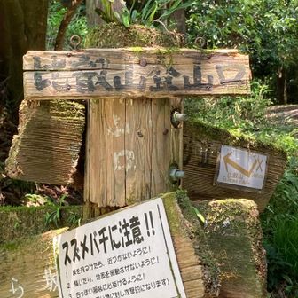 登山口
